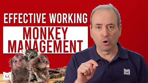 monkey management bedeutung